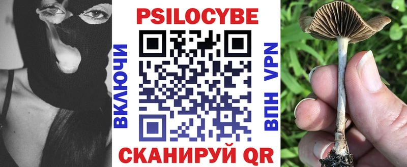 Псилоцибиновые грибы мицелий  MEGA ССЫЛКА  Туймазы 
